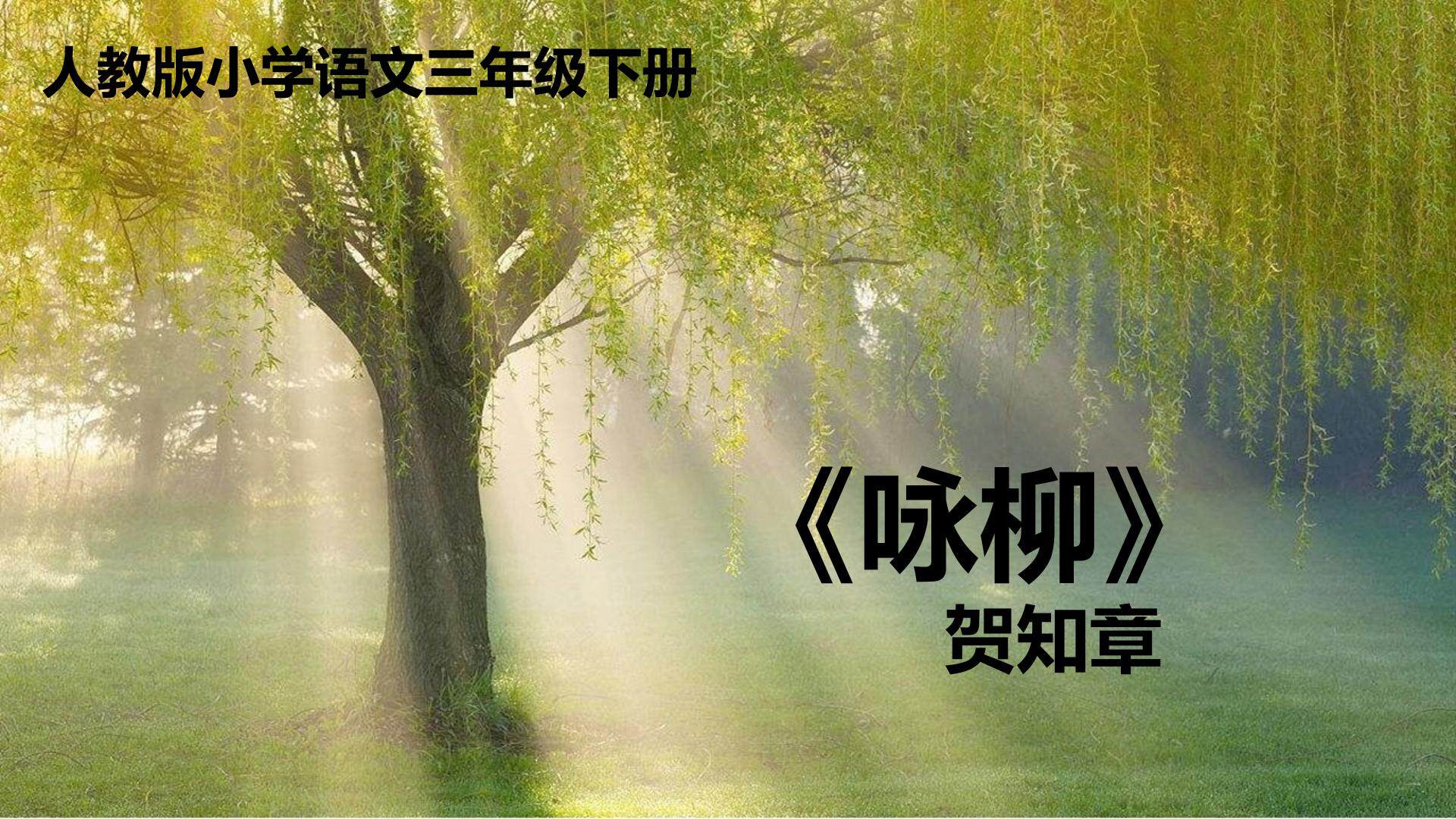 咏柳