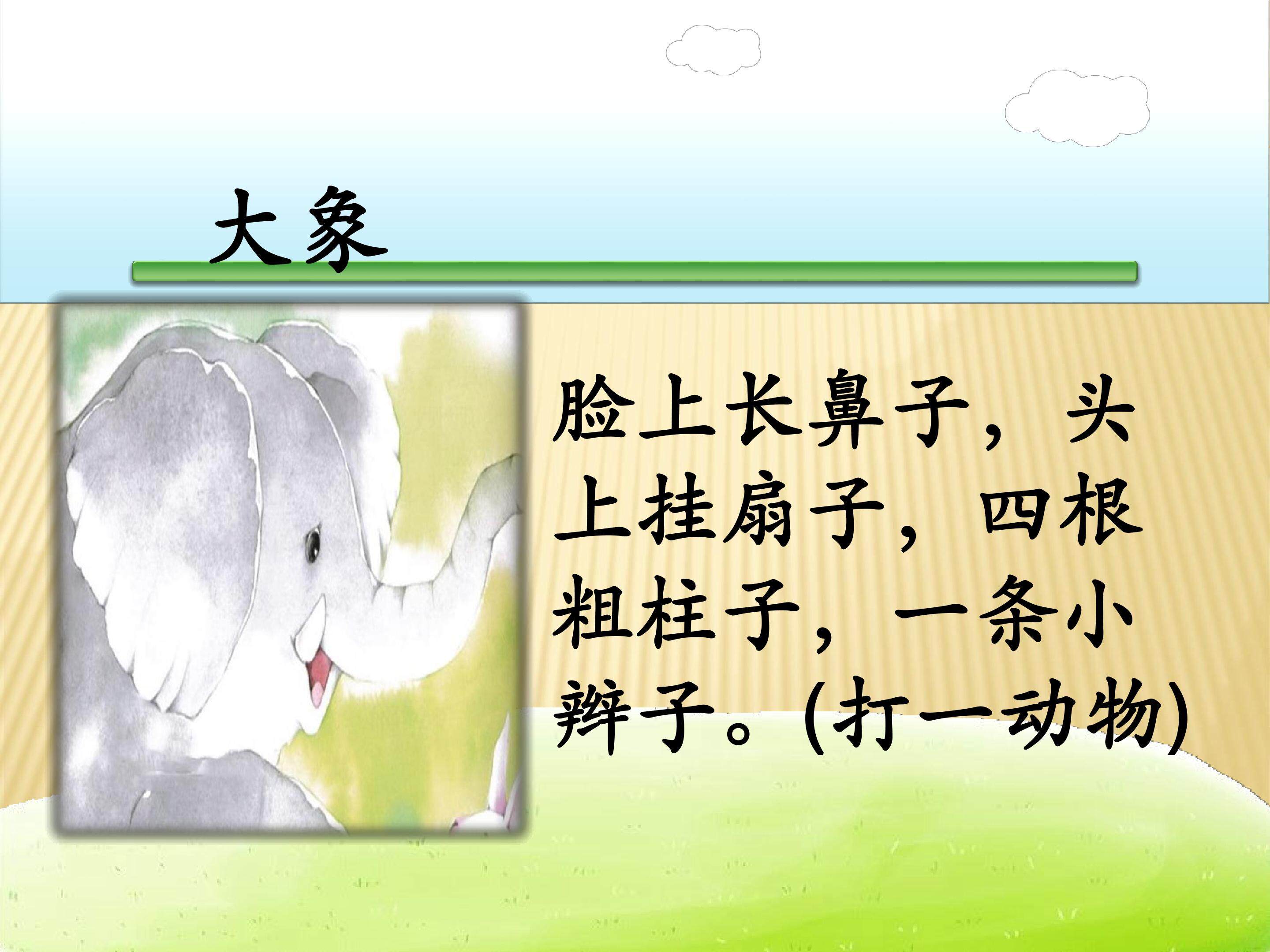 大象的耳朵