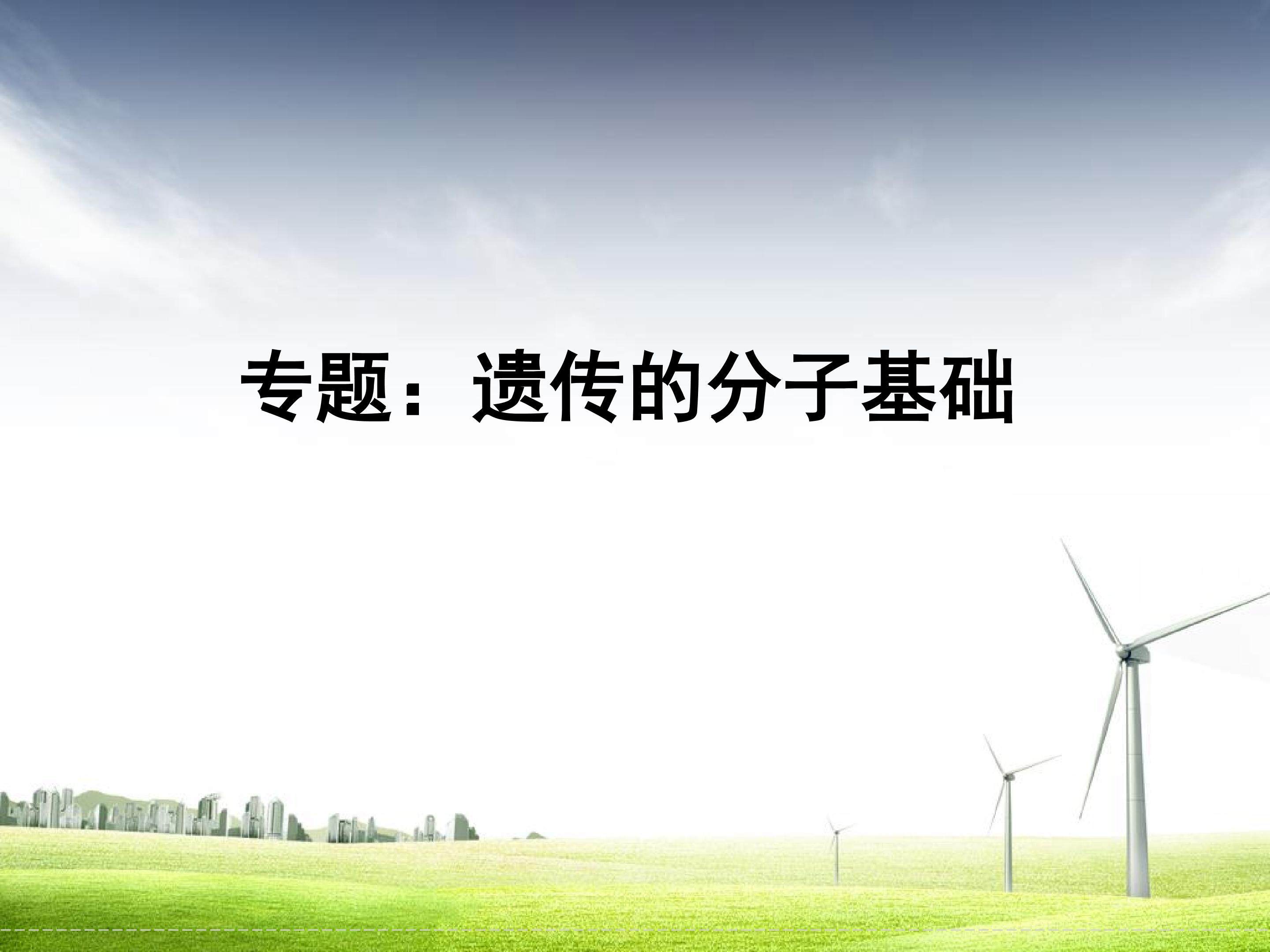 遗传的分子基础