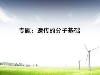 遗传的分子基础