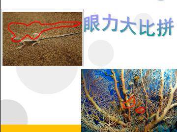 生物对环境的适应和影响_课件1