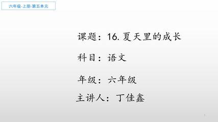 16.夏天里的成长