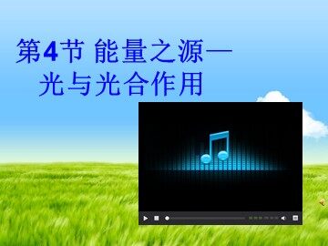 二  光合作用的原理和应用