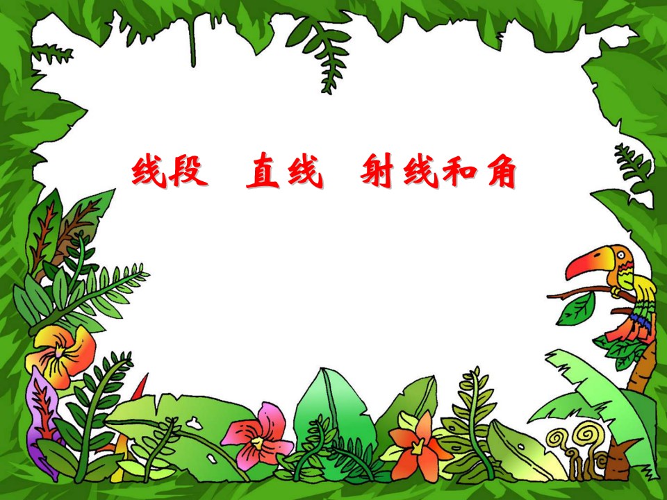线段 、直线、 射线和角