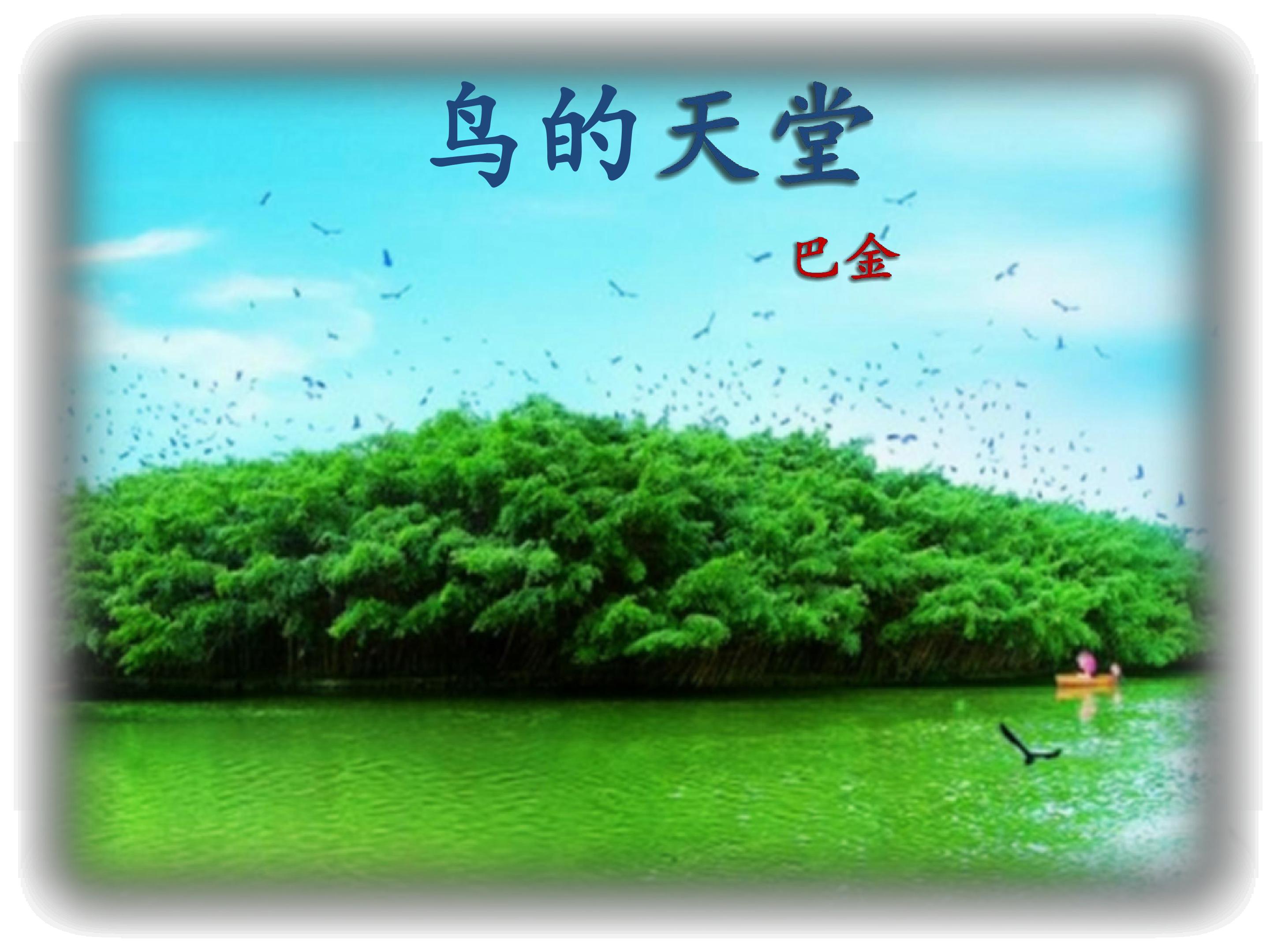 3　鸟的天堂