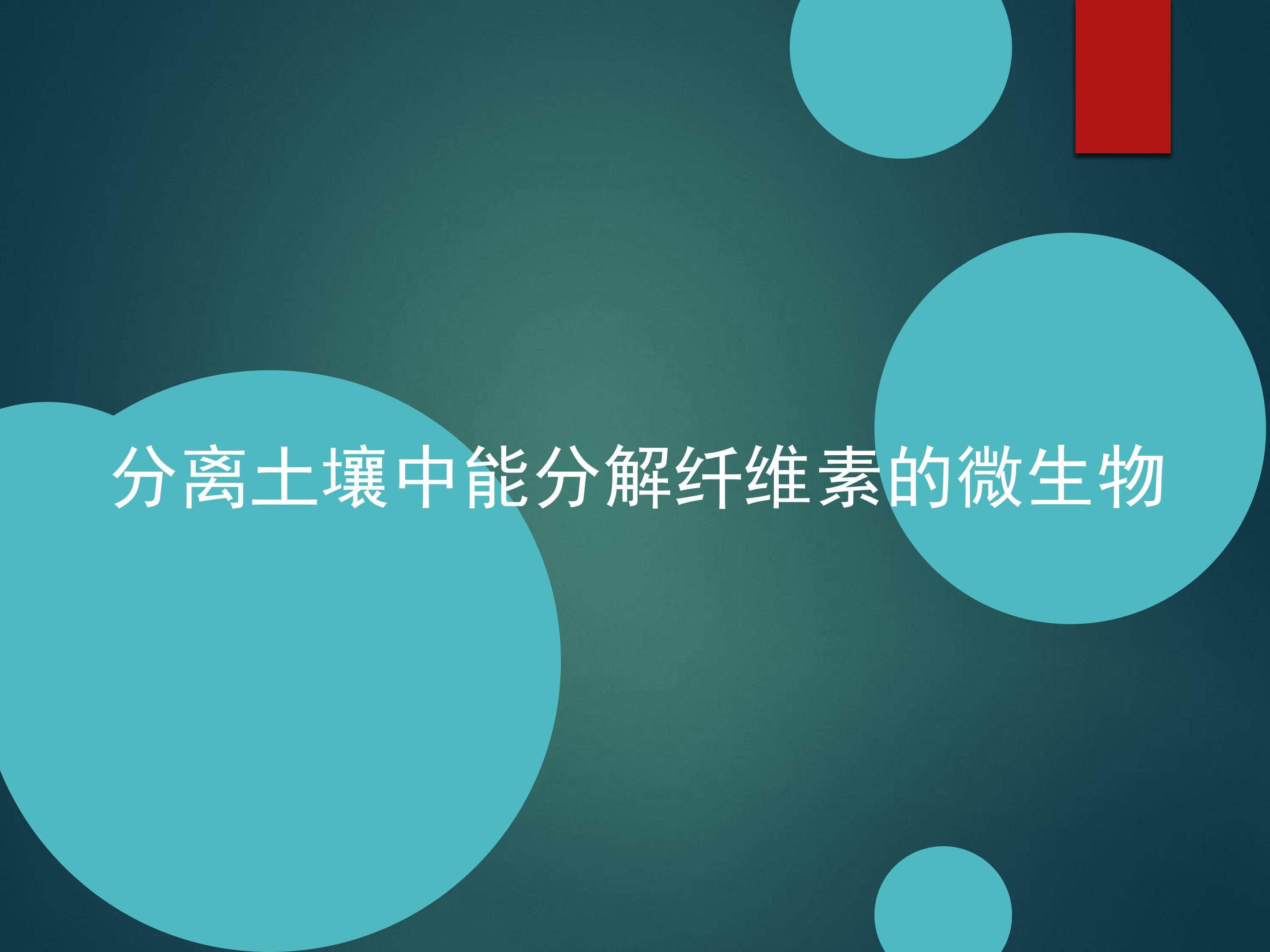 分离土壤中能分解纤维素的微生物_课件1