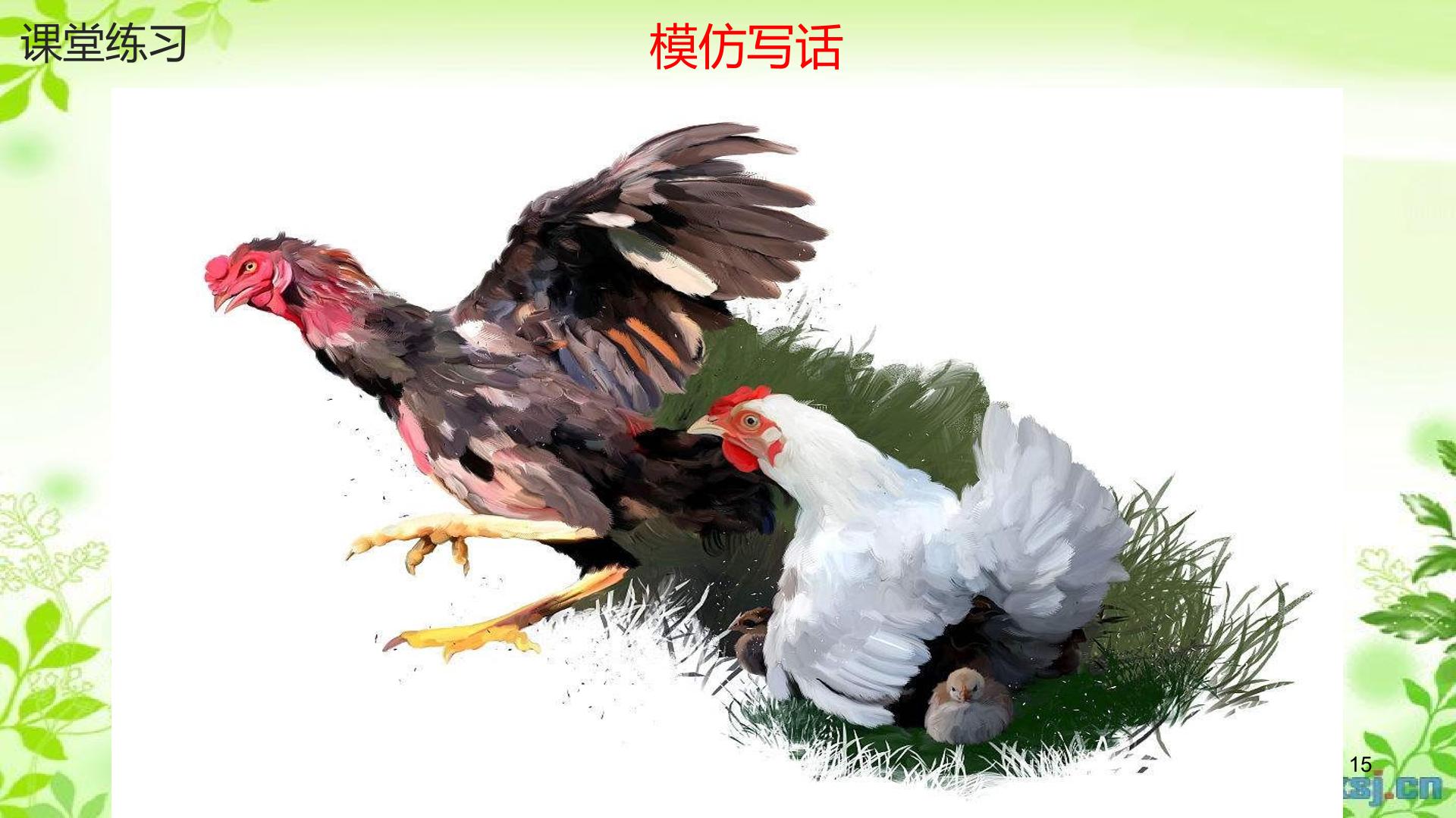 15.jpg