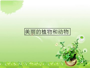 美丽的植物和动物_课件1