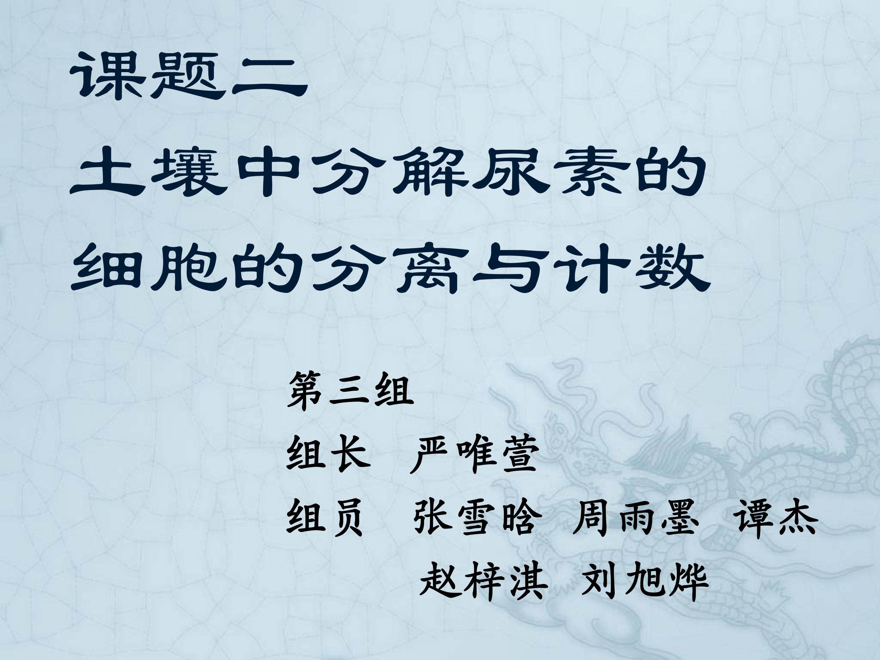 第3组同学的实验结果分析课件