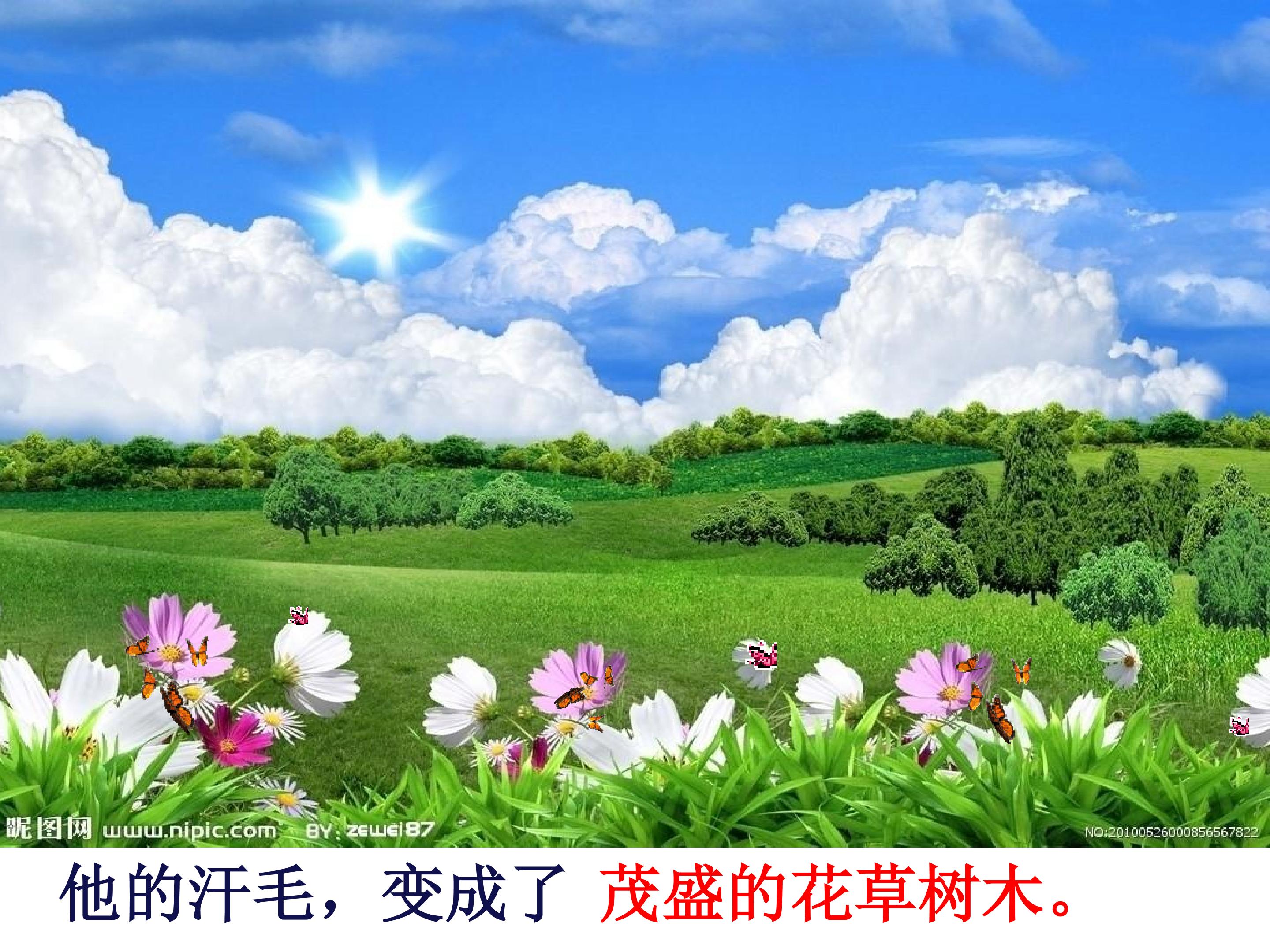 16.jpg