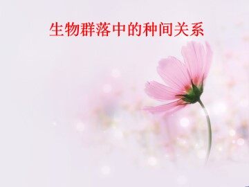 生物群落中的种间关系_课件1
