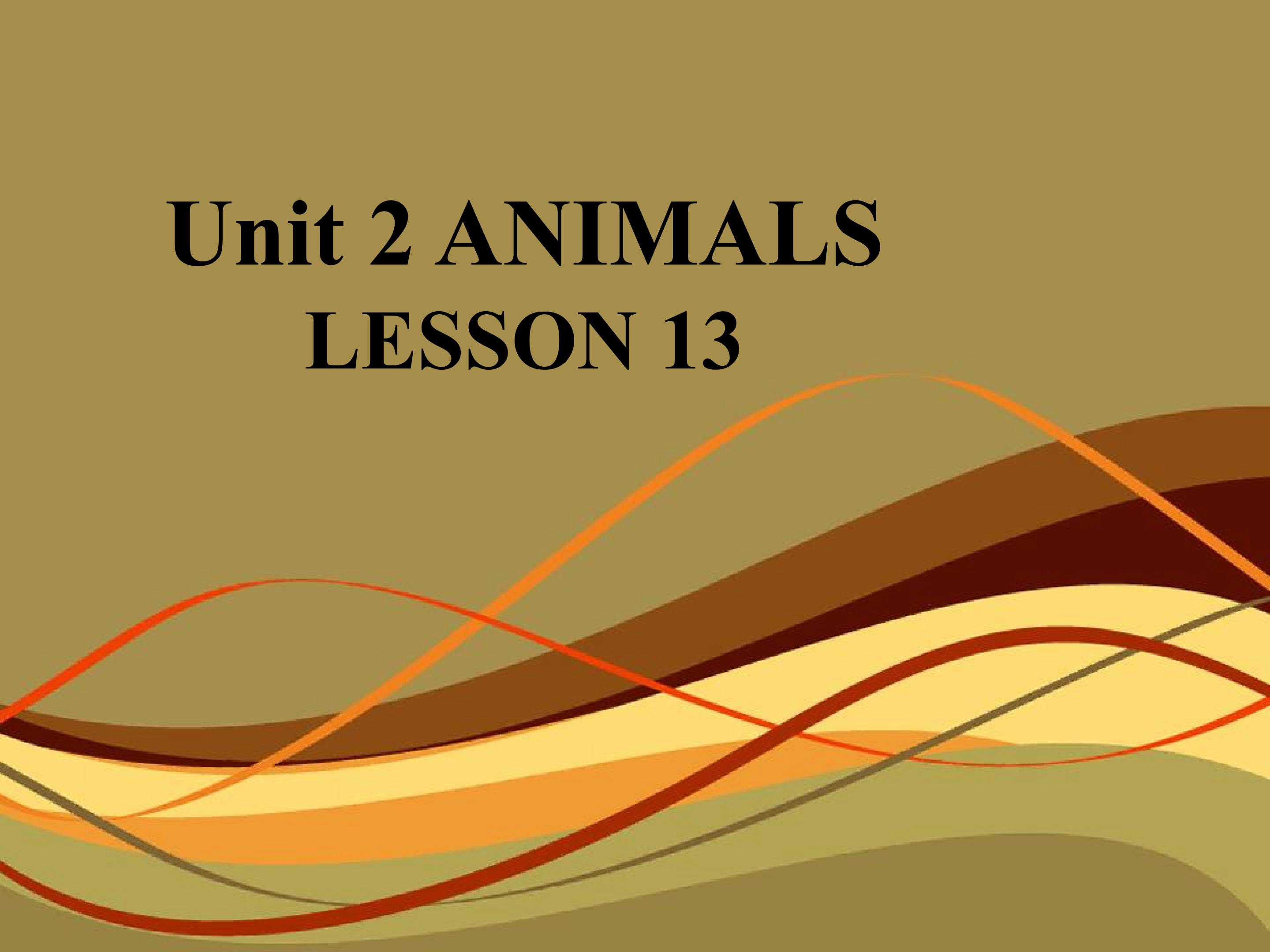 Unit 2 ANIMALS LESSON 13 课件