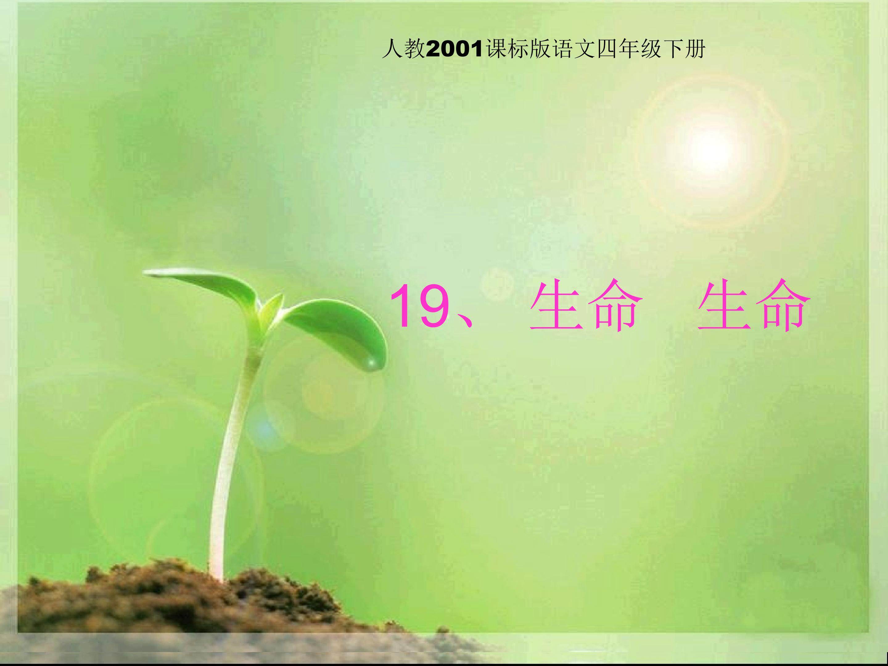 生命 生命