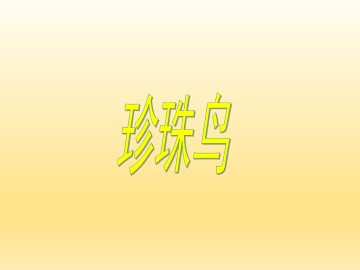 珍珠鸟_课件3