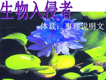 生物入侵者_课件2