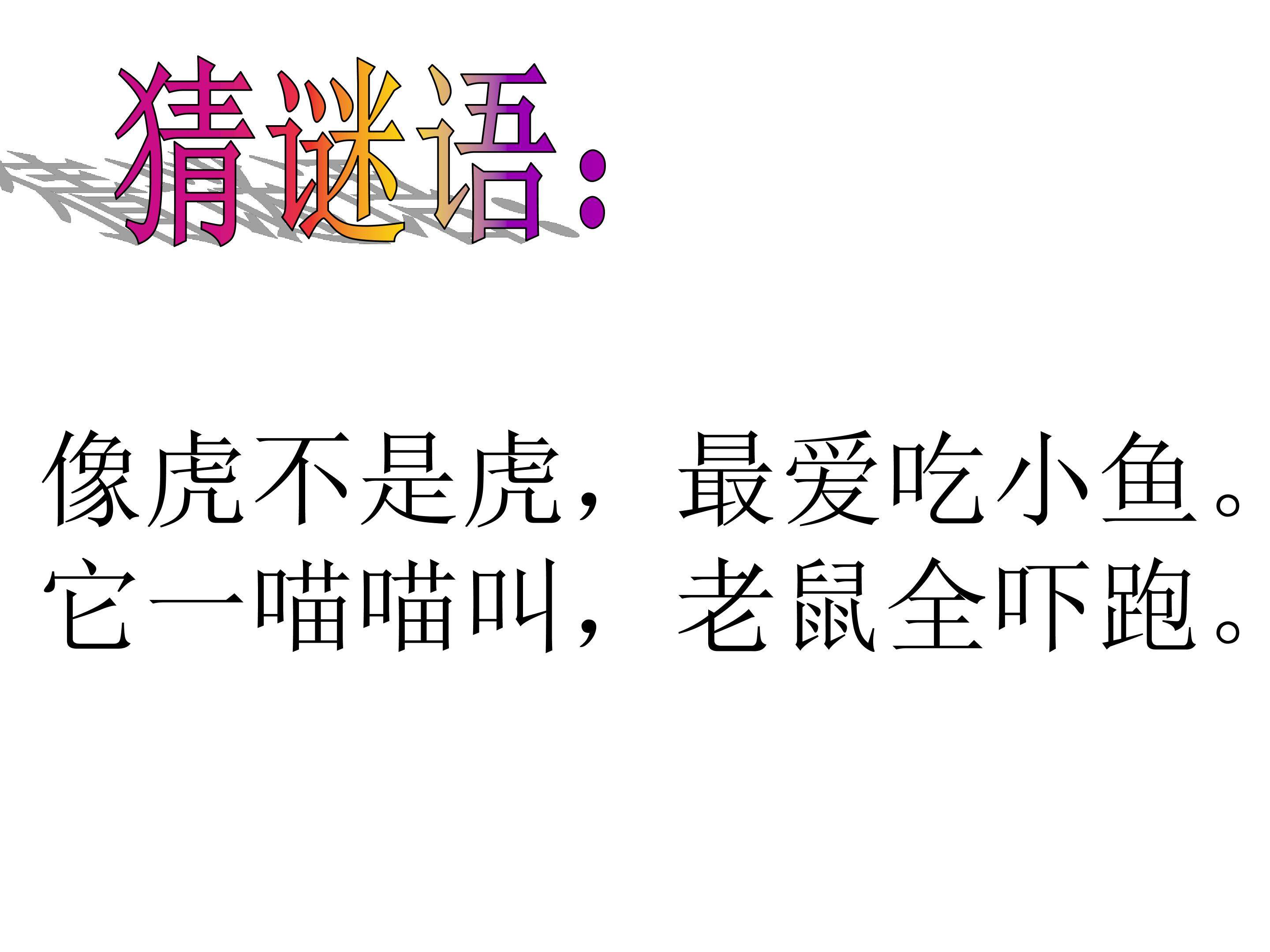 《小猫咪穿鞋子》