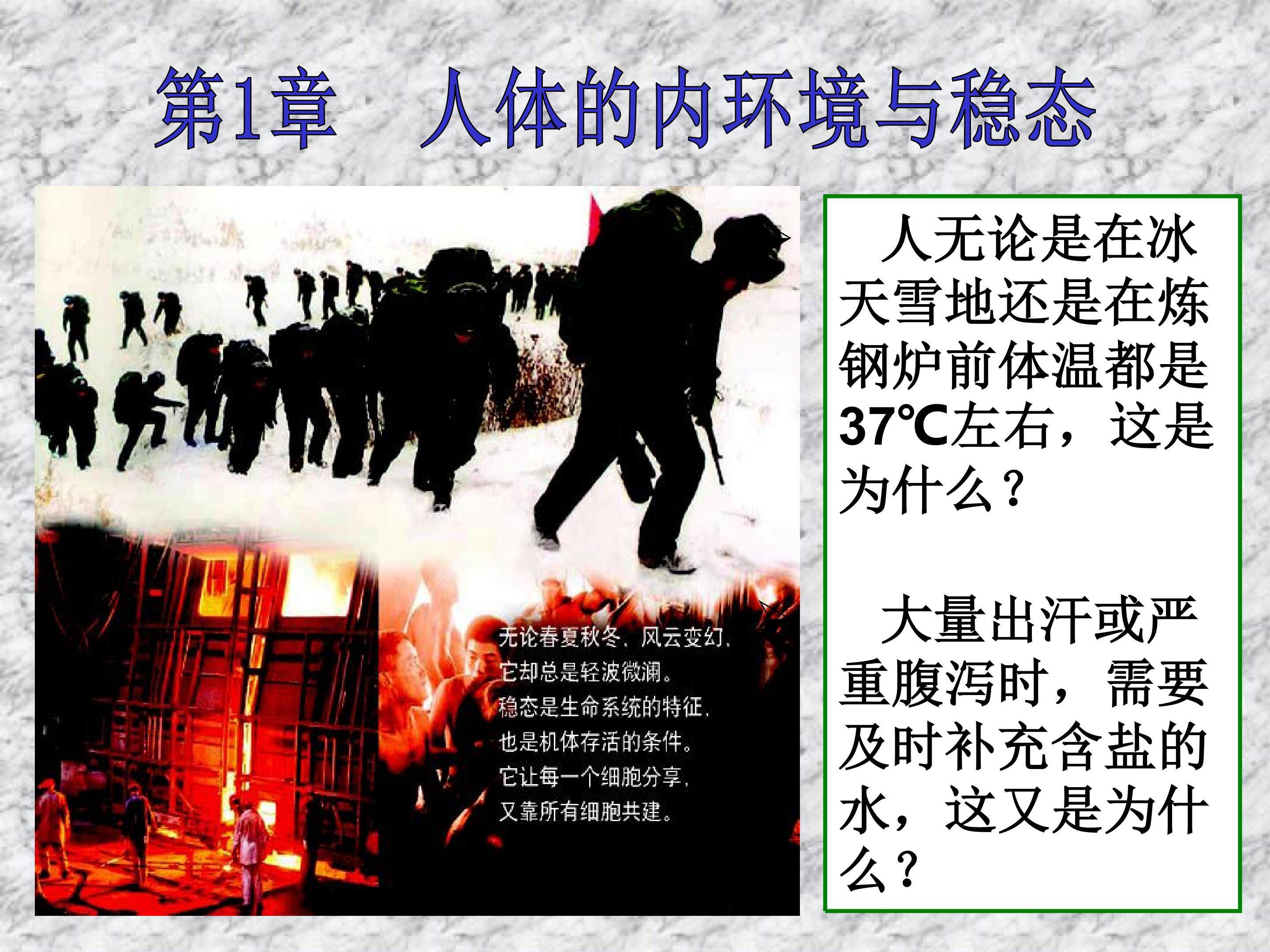 细胞生活的环境