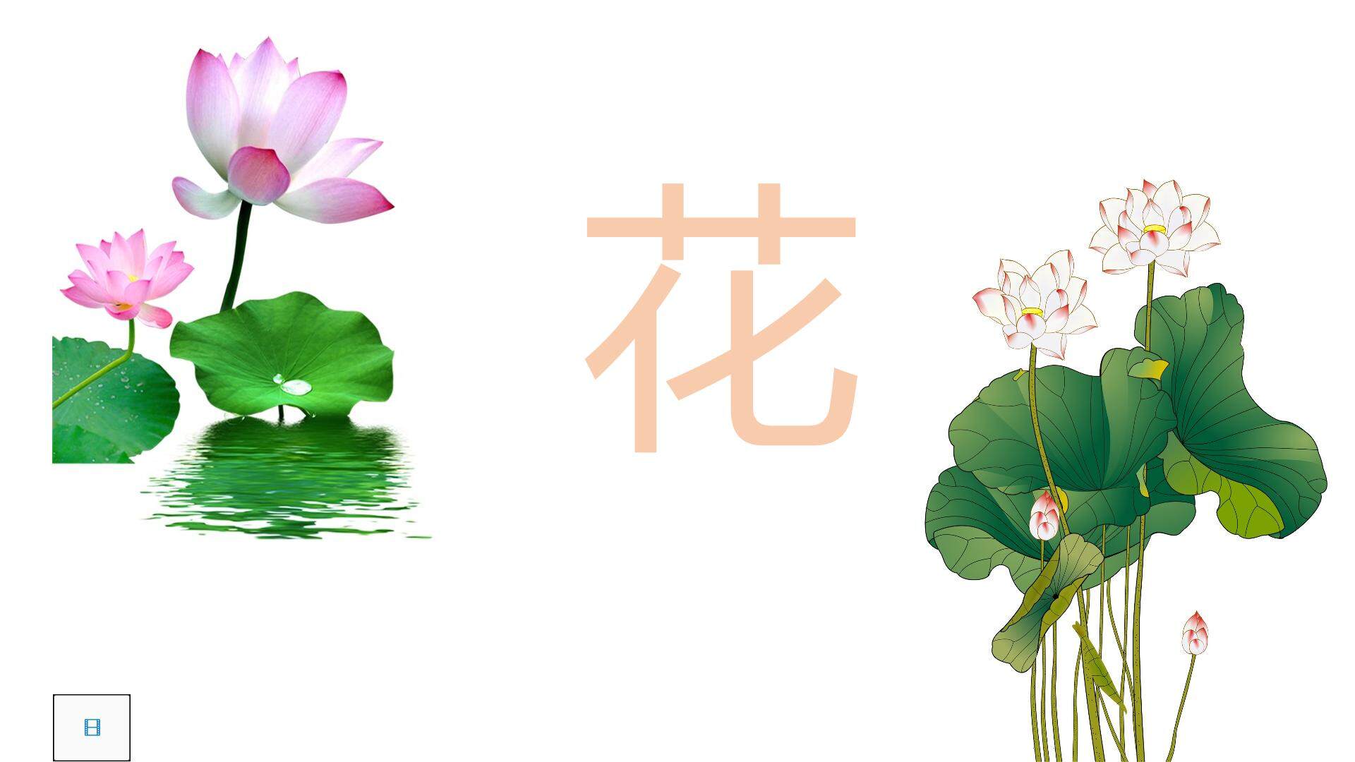 爱莲说