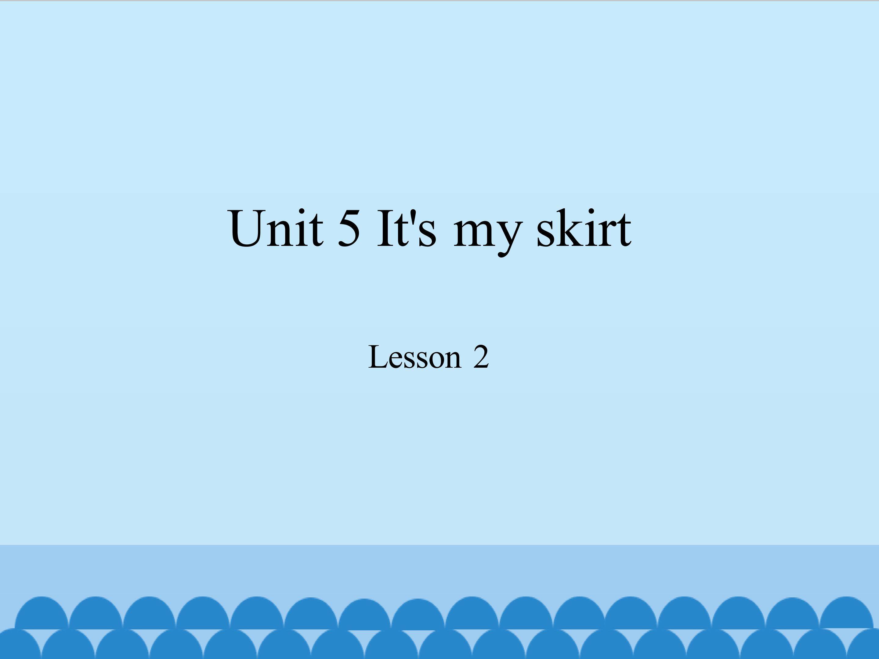 Unit 5 It's my skirt lesson 2