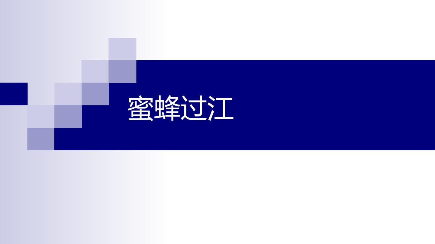 蜜蜂过江_课件1