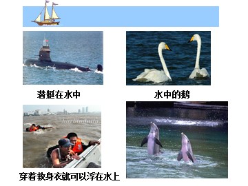 《浮力》课件2