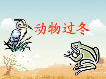 动物过冬_课件1