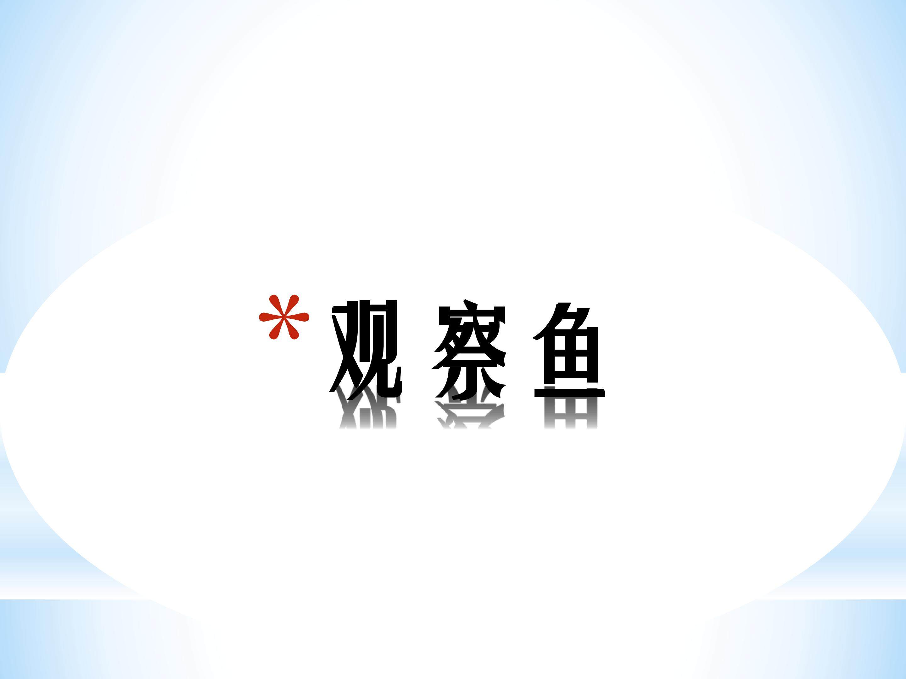 观察鱼