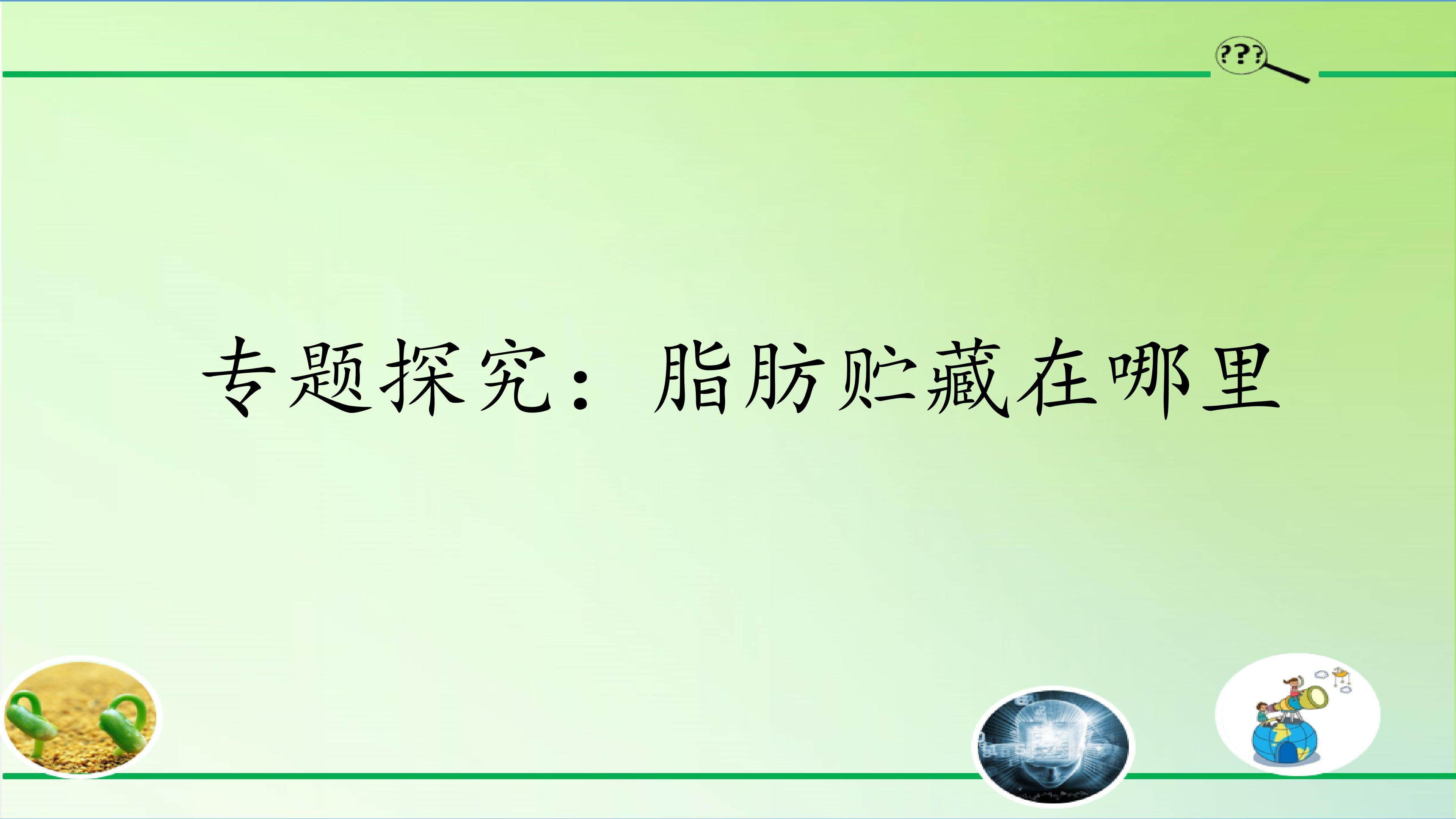 专题探究：脂肪贮藏在哪里