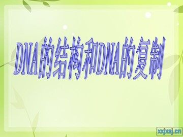 第2节  DNA分子的结构