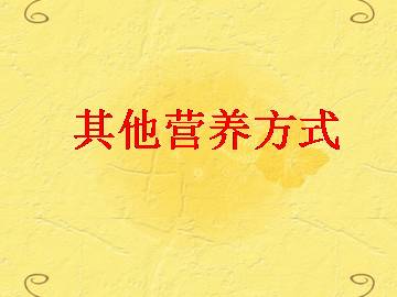 其他生物的营养_课件1