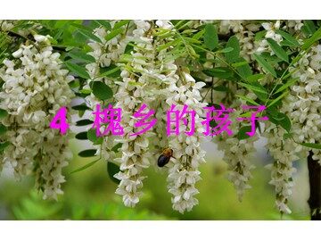 4* 槐乡的孩子