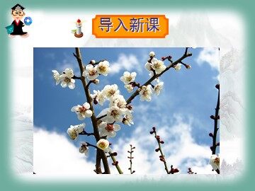 6 梅花魂