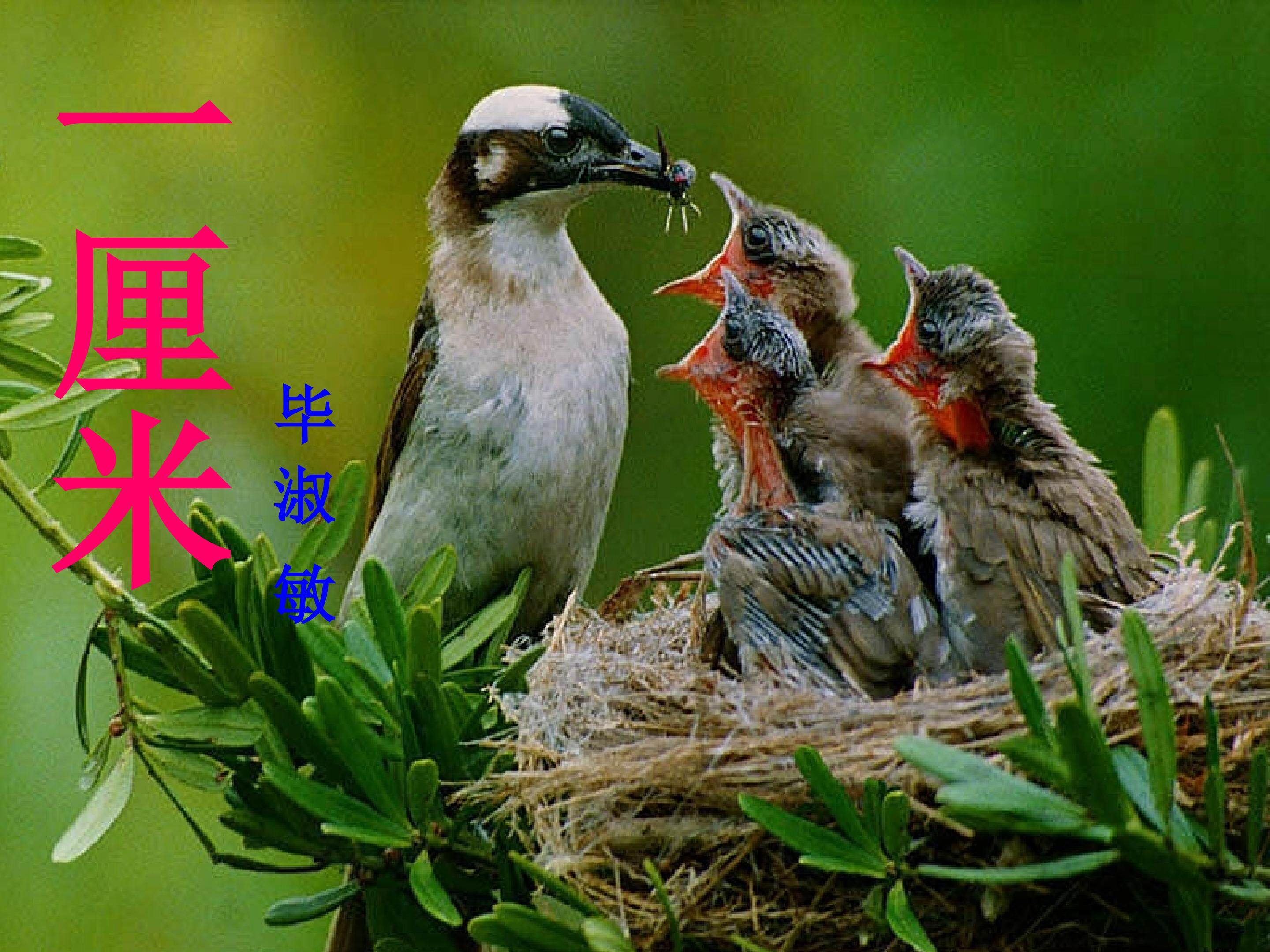 一厘米_课件2