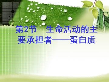 生物高中必修1第二章第二节第二课时课件