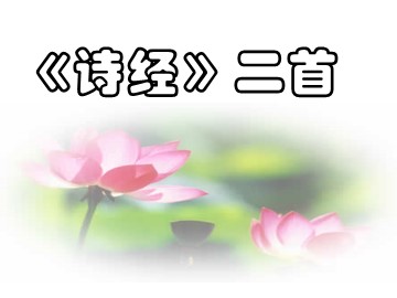 24 《诗经》两首 