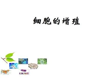 细胞的增殖_课件1
