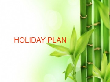 Holiday Plan_课件1