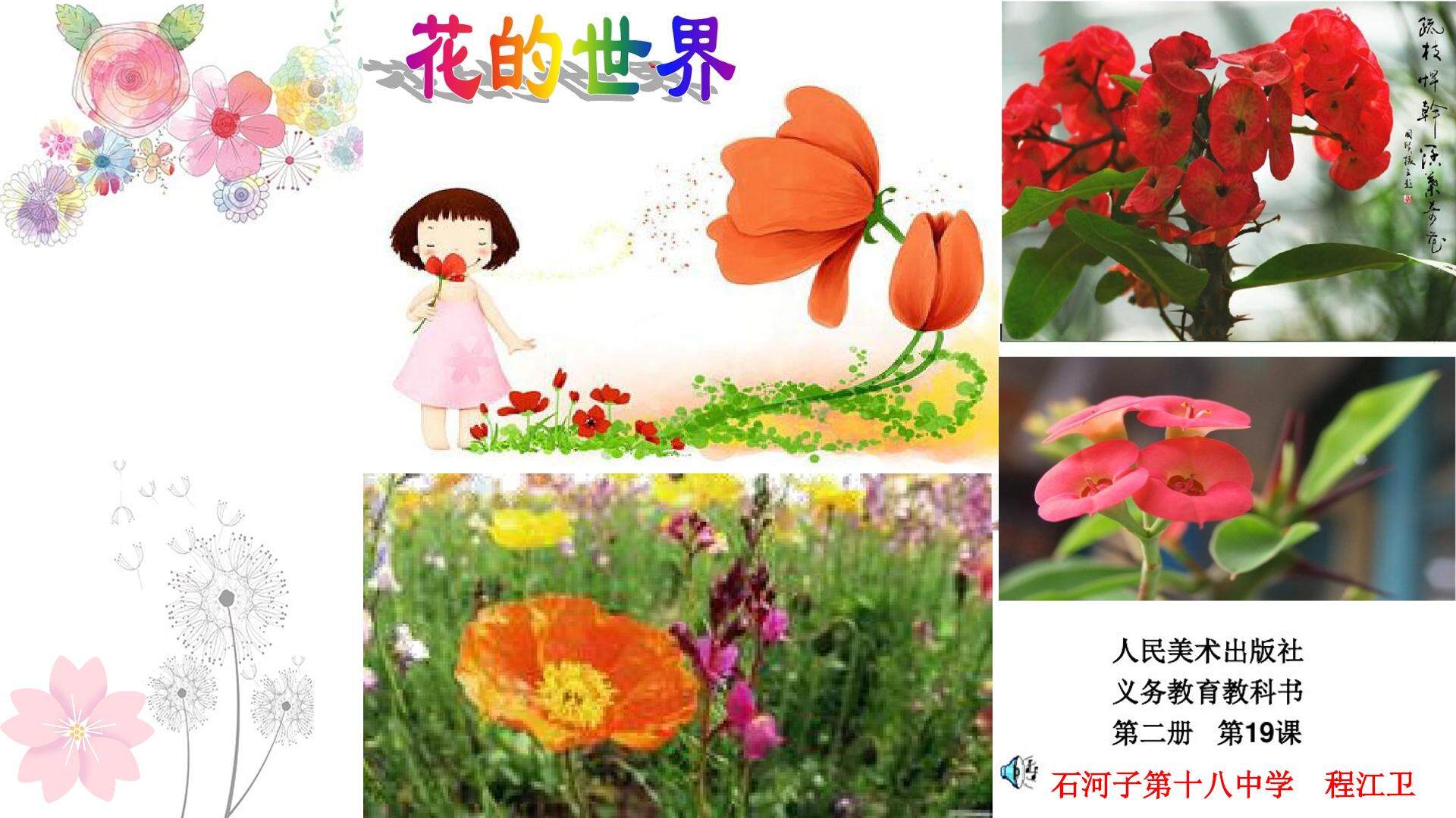 花的世界