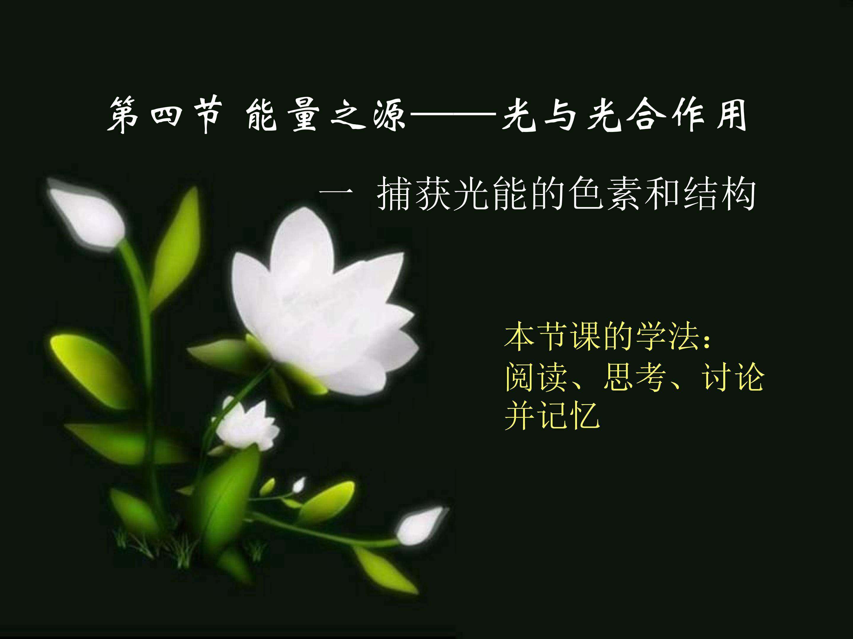 5.4.1 捕获光能的色素