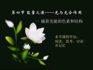 5.4.1 捕获光能的色素