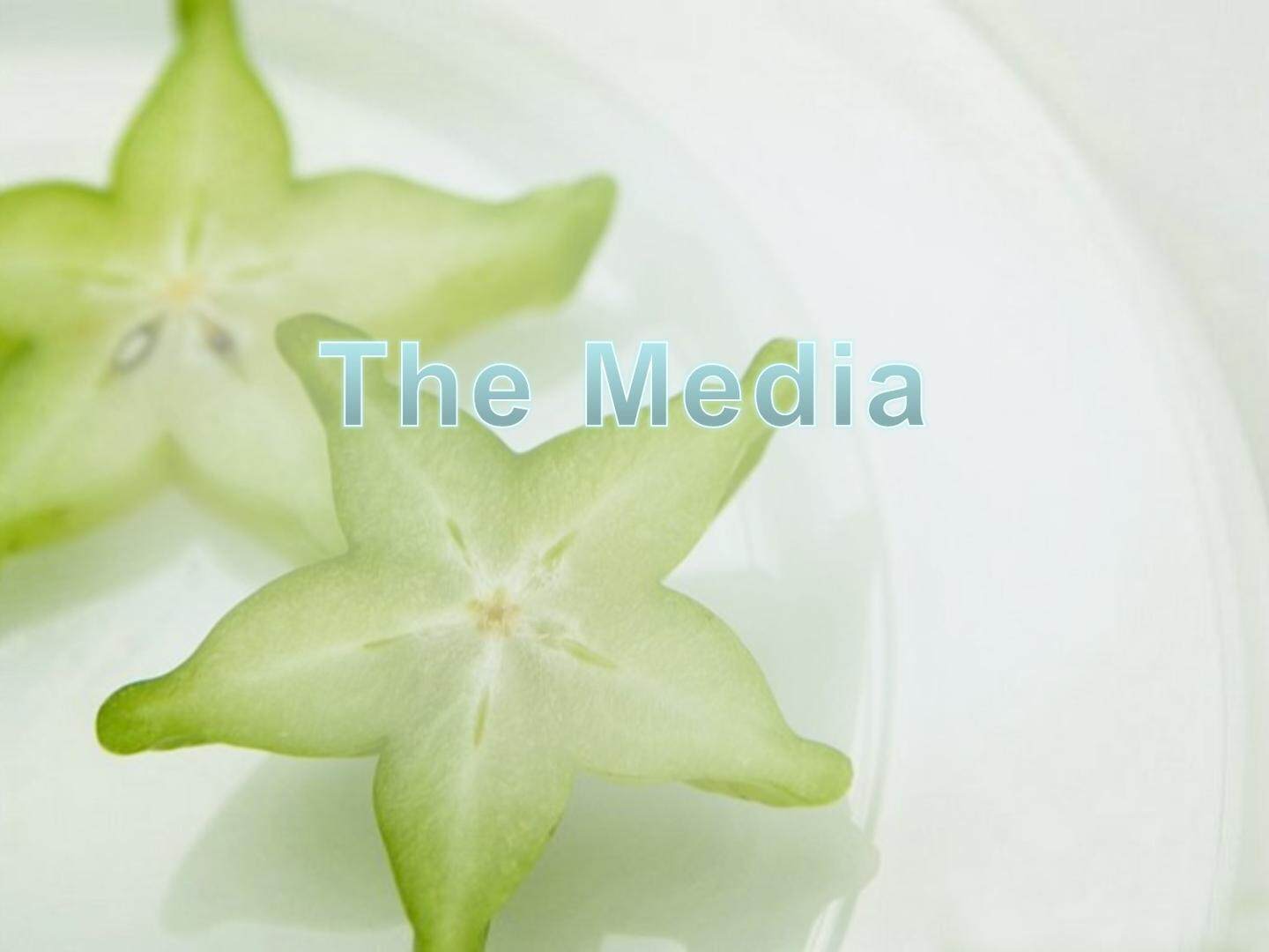 The Media_课件3