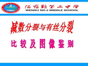一  减数分裂