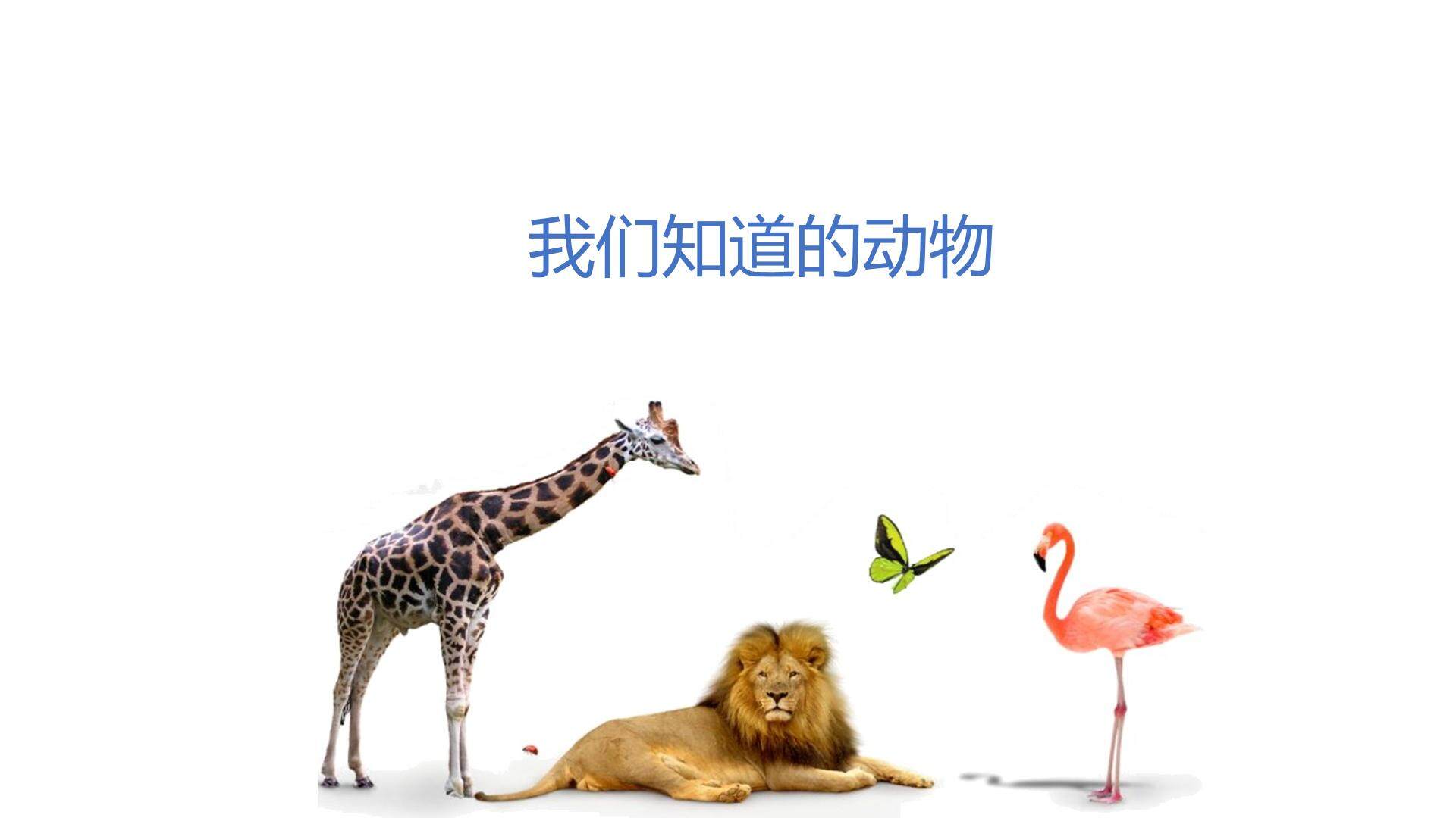 我们知道的动物_课件1