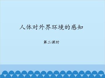 人体对外界环境的感知-第二课时_课件1