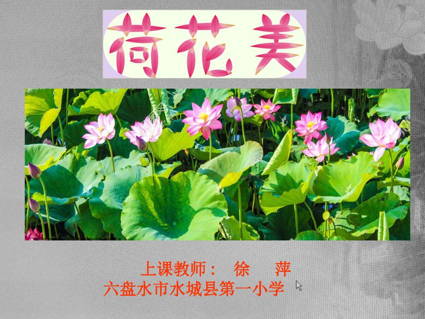 赣美版三年级下册第五课教学课件
