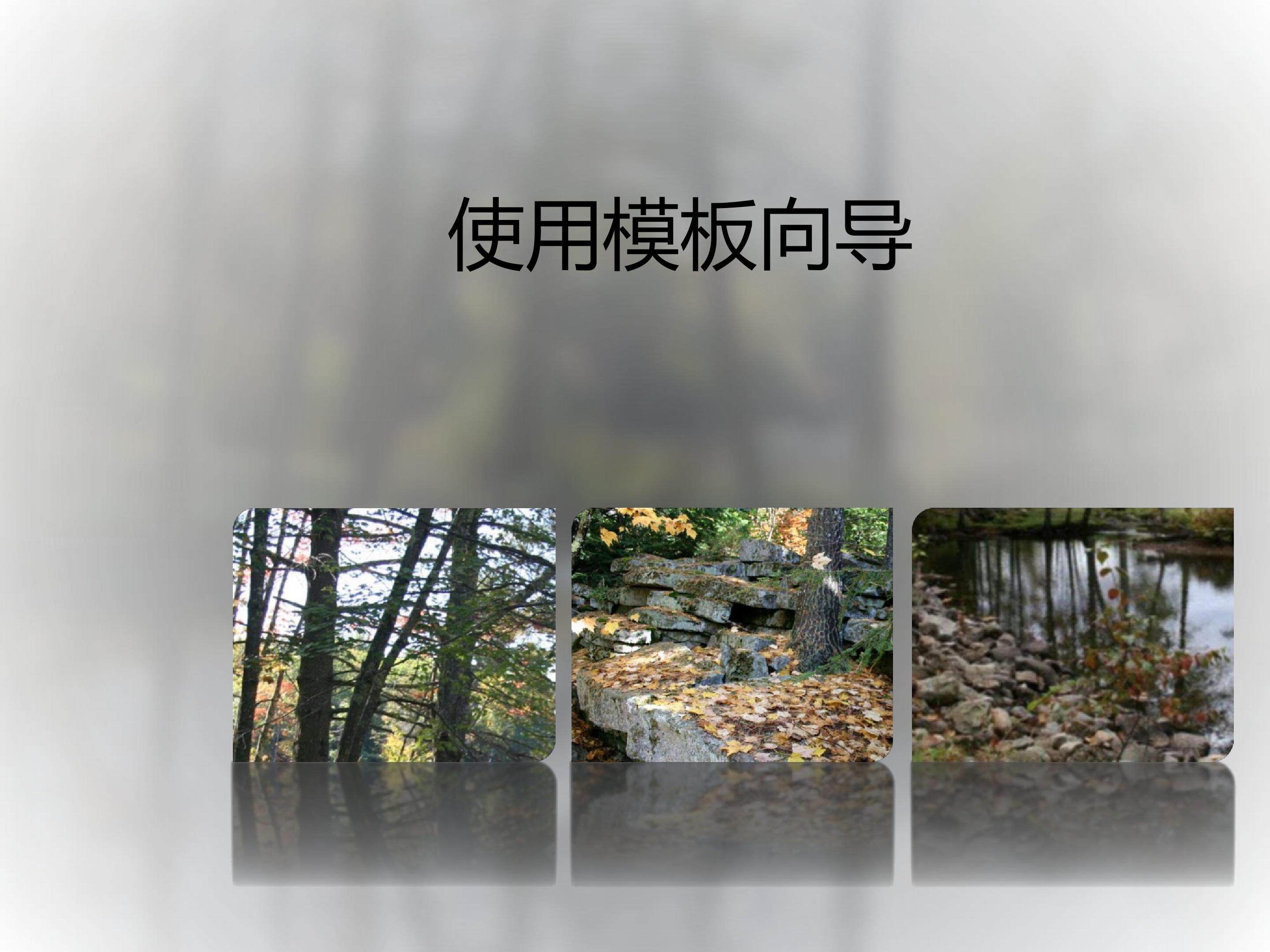 使用模板向导
