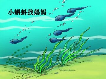 1  小蝌蚪找妈妈
