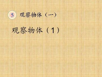 《观察物体》课件3