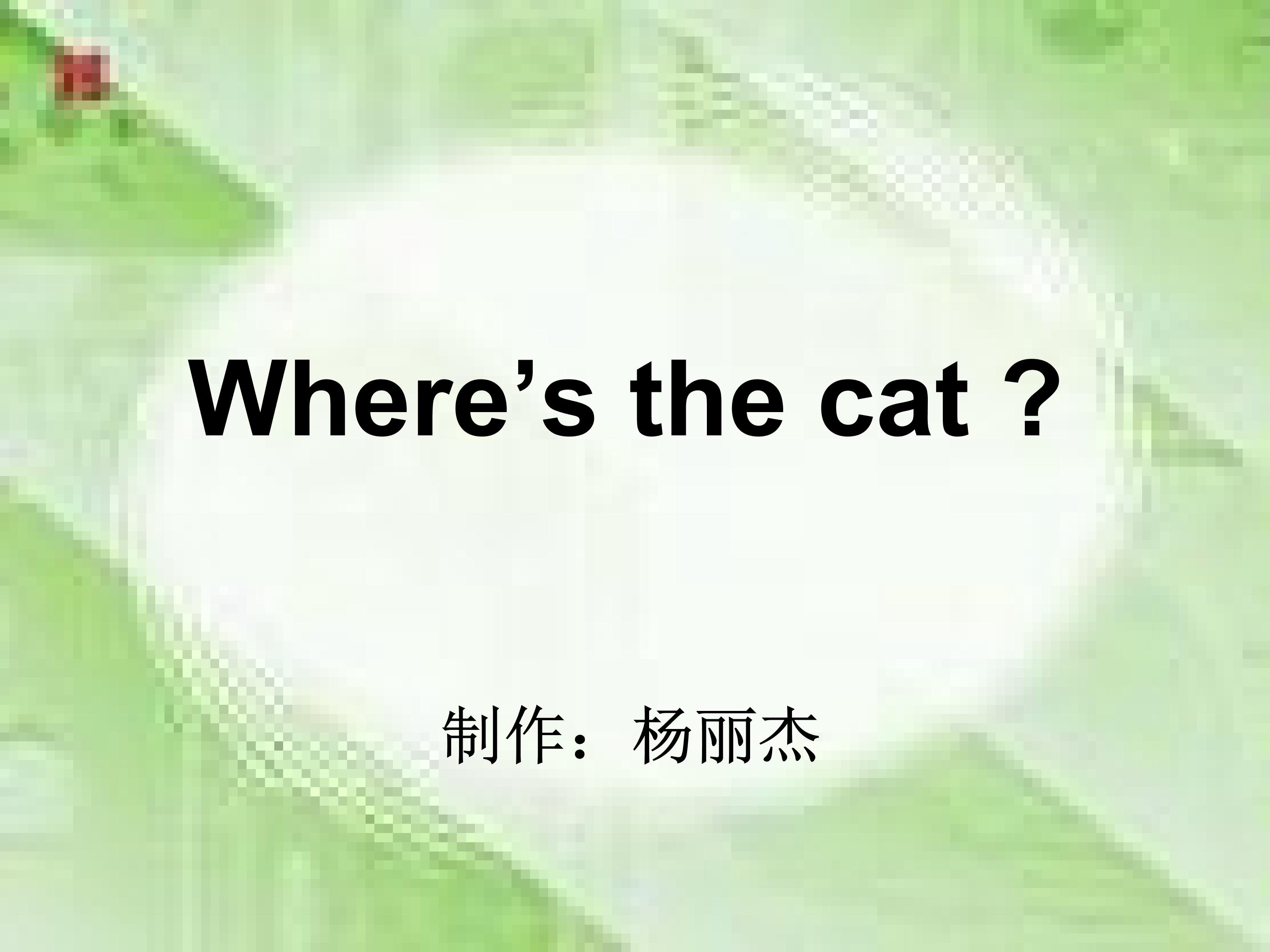 Where is the cat?