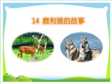 14* 鹿和狼的故事